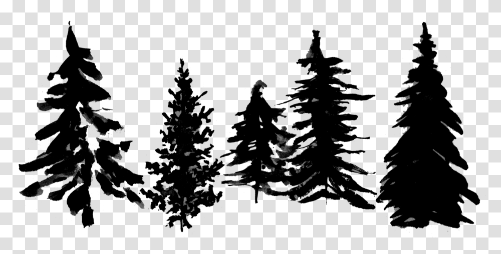 Add The Tree Line By Uploading Your Own Image Christmas Tree, Plant, Ornament, Fir, Abies Transparent Png