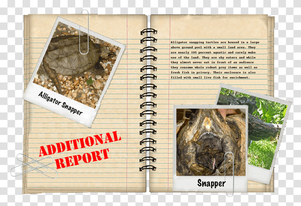 Additional Report Book Cover, Diary, Page, Spiral Transparent Png
