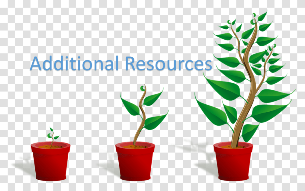Additional Resources Getting To Know Plants, Aloe, Pottery, Leaf, Soil Transparent Png