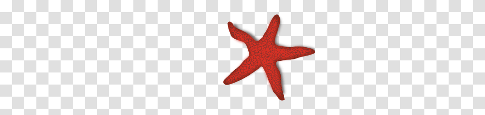 Addon Red Starfish Clip Art, Sea Life, Animal, Invertebrate Transparent Png