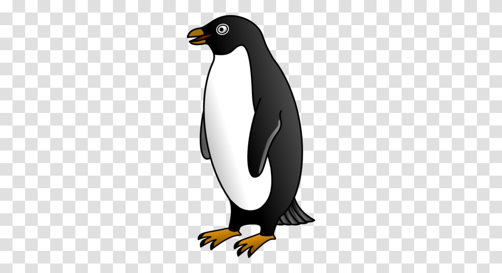 Adelie Penguin Clipart, King Penguin, Bird, Animal, Blow Dryer Transparent Png