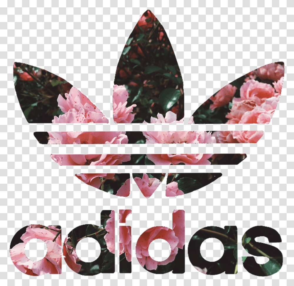 Adidas Adidas Floral Collection Flower Adidas Adidas Logo With Flowers, Symbol, Ornament, Trademark, Graphics Transparent Png