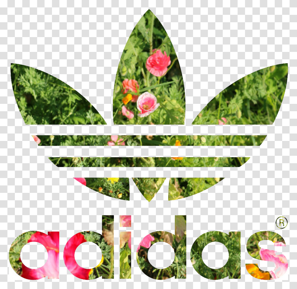 Adidas Adidas Jacket Black And White Womens, Plant, Poster, Advertisement Transparent Png