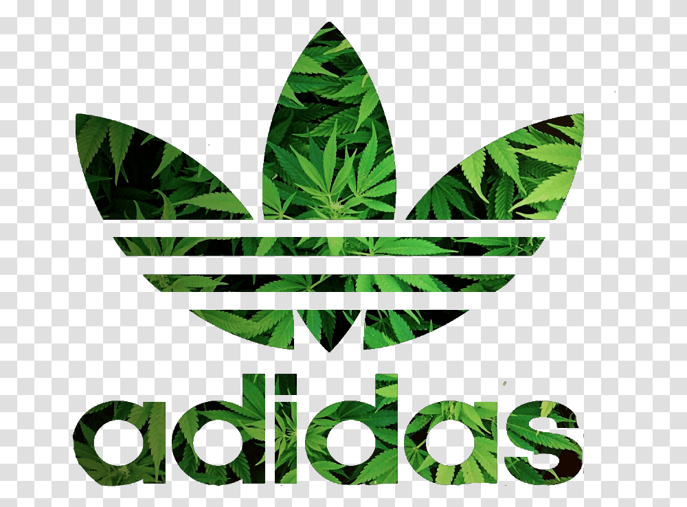 Adidas Logo Adidas Logo, Leaf, Plant, Green Transparent Png