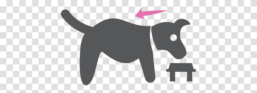 Adjustable Elevated Dog Bowls Animal Figure, Silhouette, Baby, Crawling, Outdoors Transparent Png