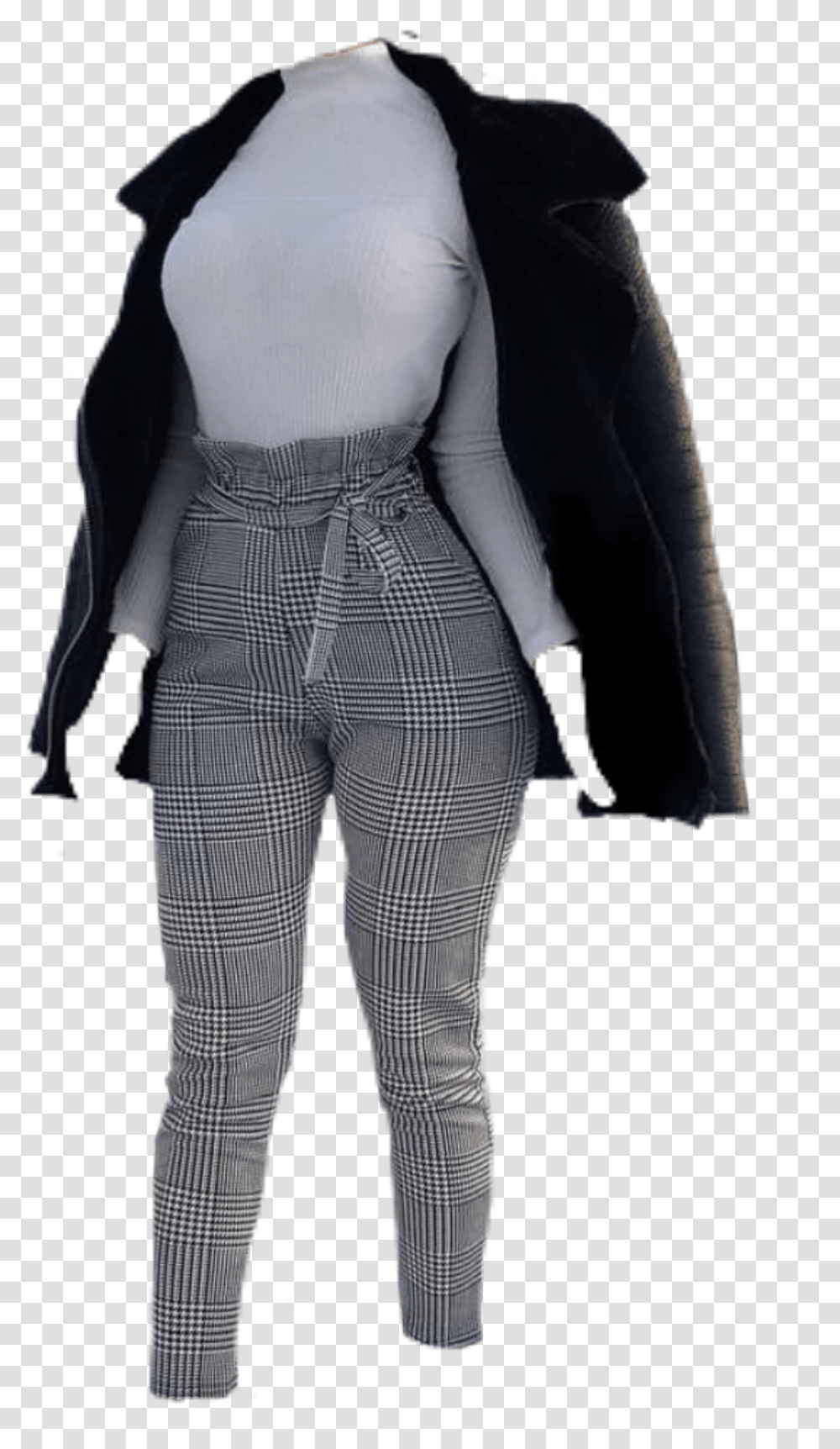 Adlie Penguin, Suit, Overcoat, Pants Transparent Png