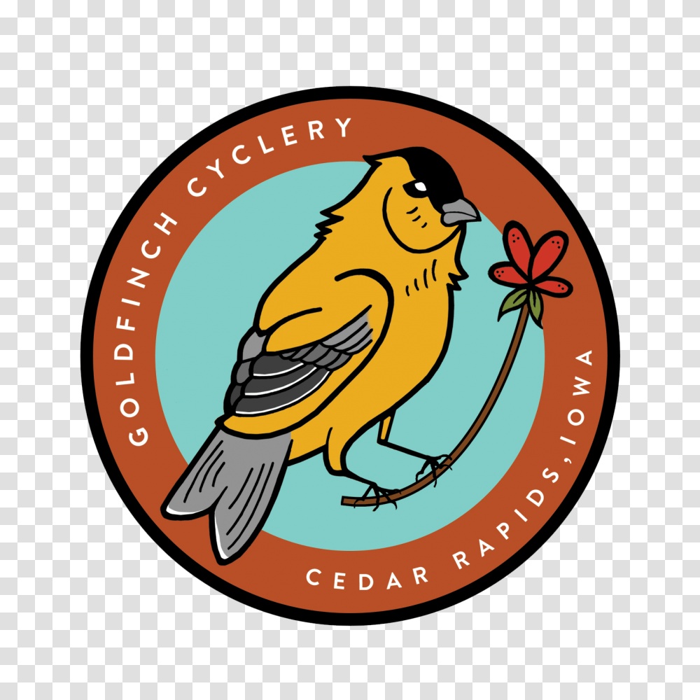 Admin, Canary, Bird, Animal, Logo Transparent Png