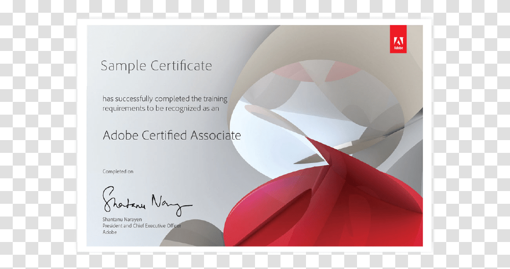 Adobe Certified Associate Certificate, Flyer Transparent Png