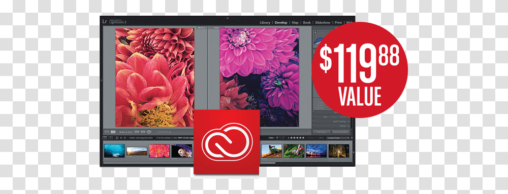 Adobe Creative Cloud Canon Online Store Display, Electronics, Computer, Monitor, Screen Transparent Png