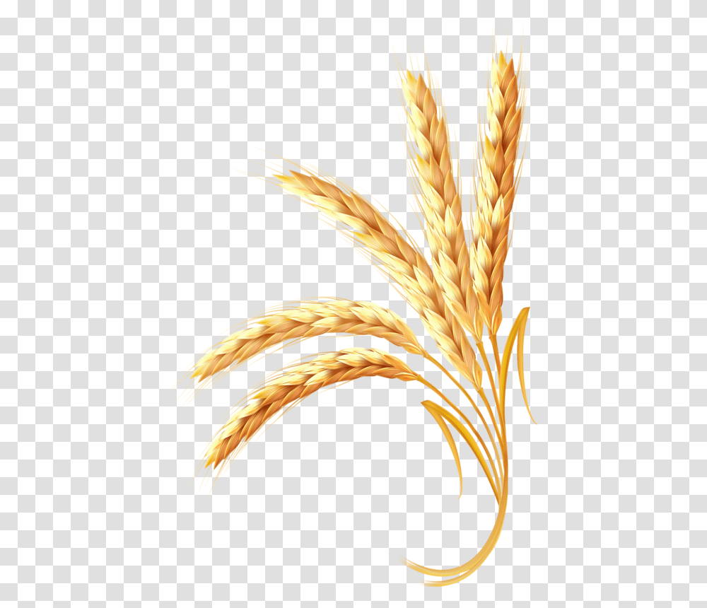 Adobe Ear Wheat Illustrator Golden Free Hd Image Clipart, Plant, Bird, Animal, Vegetable Transparent Png