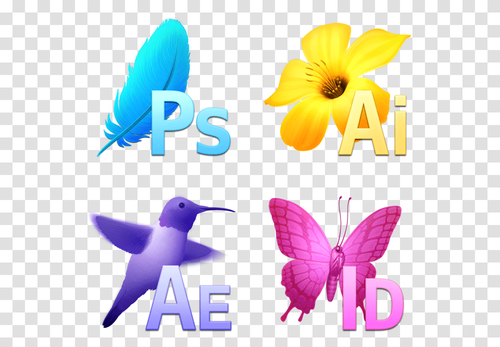 Adobe Icons From An Alternate Universe Adobe Icons, Bird, Animal, Graphics, Art Transparent Png