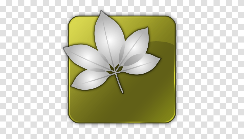 Adobe Icons, Technology, Lamp, Plant, Leaf Transparent Png