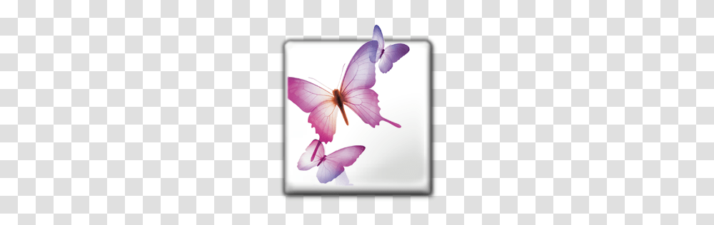 Adobe Icons, Technology, Petal, Flower, Plant Transparent Png
