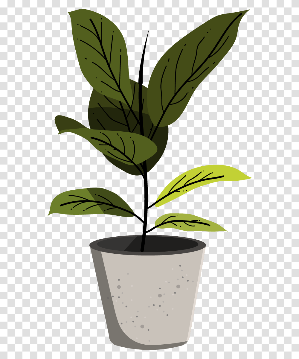 Adobe Illustrator Plants, Leaf, Tree, Banana, Fruit Transparent Png
