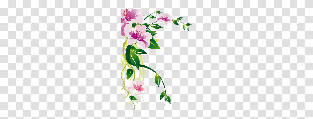 Adobe Photoshop Balaji, Plant, Flower, Blossom, Hibiscus Transparent Png