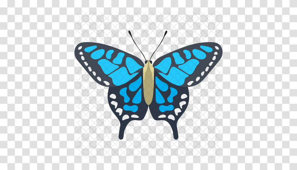 Adonis Blue Butterfly Icon Butterfly, Pattern, Insect, Invertebrate, Animal Transparent Png