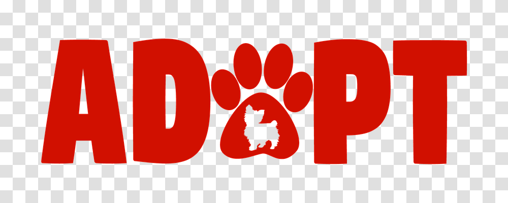 Adopt Number, Dynamite Transparent Png