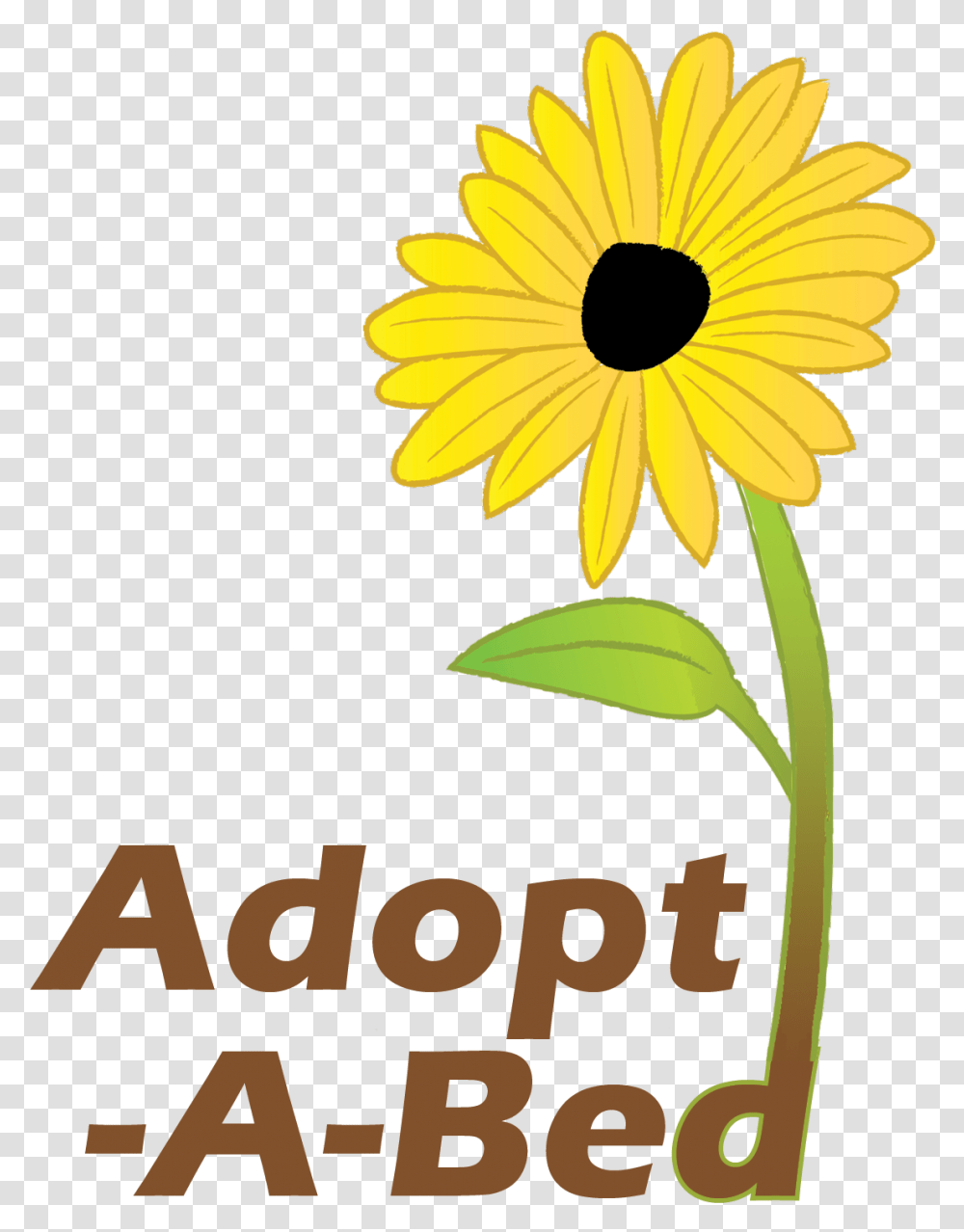 Adopt A Bed Black Eyed Susan, Plant, Flower, Blossom, Daisy Transparent Png