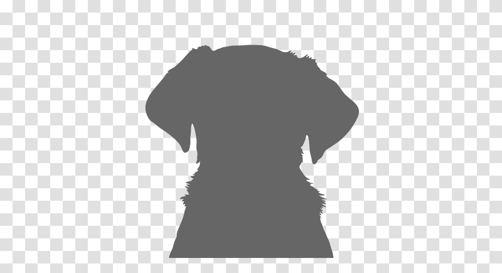 Adopt A Dog Harry Pug Dogs Trust, Silhouette, Back, Apparel Transparent Png