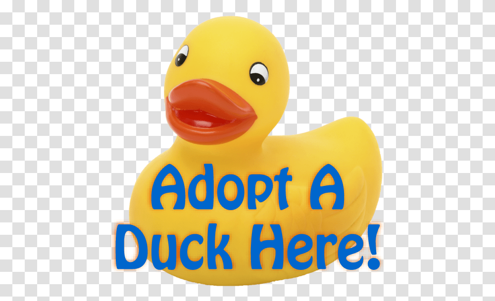 Adopt A Duck Here, Toy, Animal, Bird Transparent Png