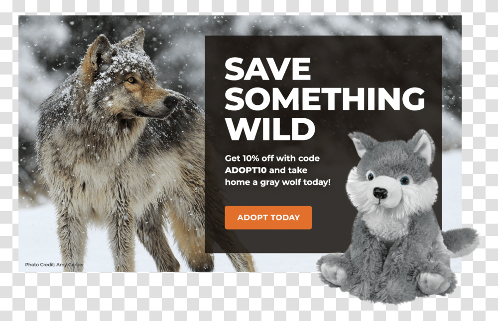 Adopt A Gray Wolf Coyote, Mammal, Animal, Teddy Bear, Toy Transparent Png