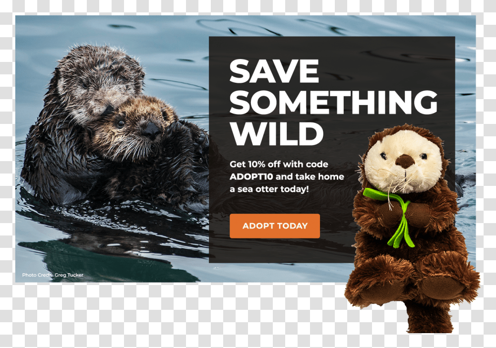 Adopt A Sea Otter Snowy Owl Owls Habitat, Wildlife, Animal, Mammal, Teddy Bear Transparent Png
