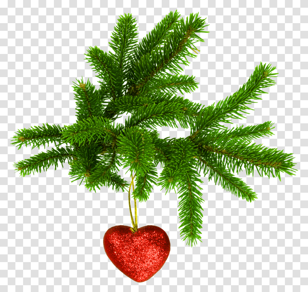 Adornos De Corazon Para Navidad, Plant, Tree, Leaf, Fruit Transparent Png