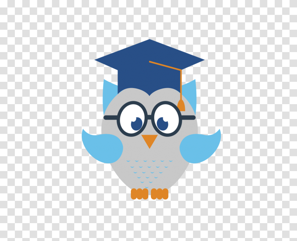 Adult Shiny Cap Gown Package Graduationsource, Angry Birds Transparent Png