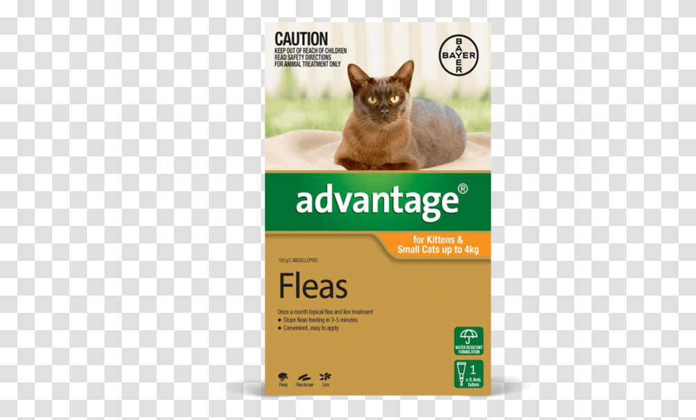 Advantage For Kittens Small Cats Advantage Flea Treatment For Small Cats Ingredients, Poster, Advertisement, Flyer, Paper Transparent Png