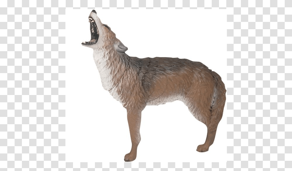Advantages Of A 3d Archery Target Howling Coyote 3d Archery Target, Mammal, Animal, Wolf, Dog Transparent Png