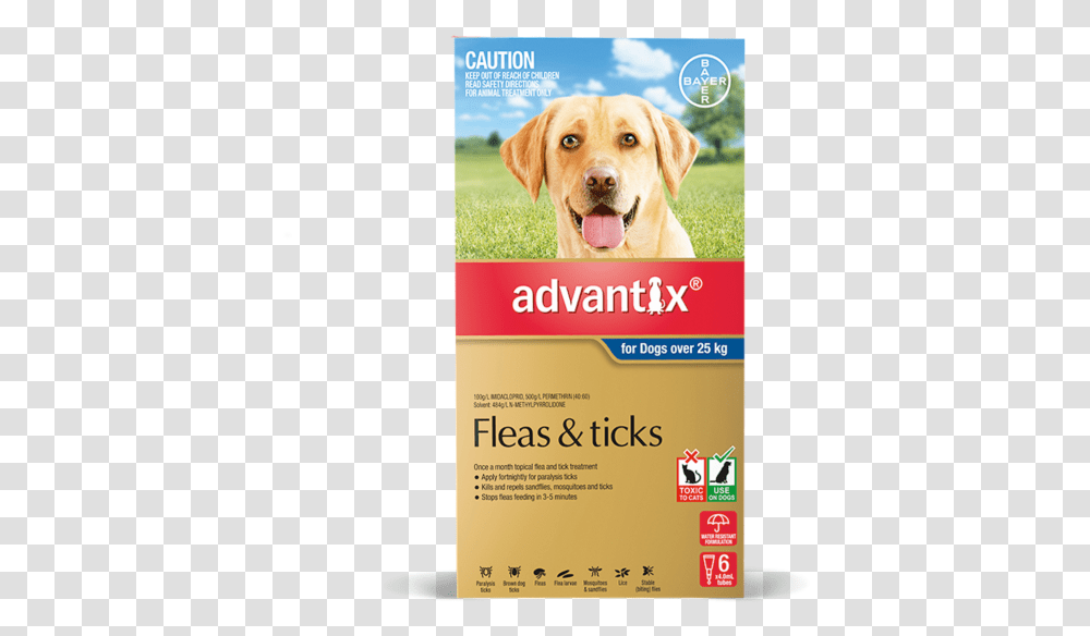 Advantix For Dogs Blue Over, Advertisement, Poster, Flyer, Paper Transparent Png