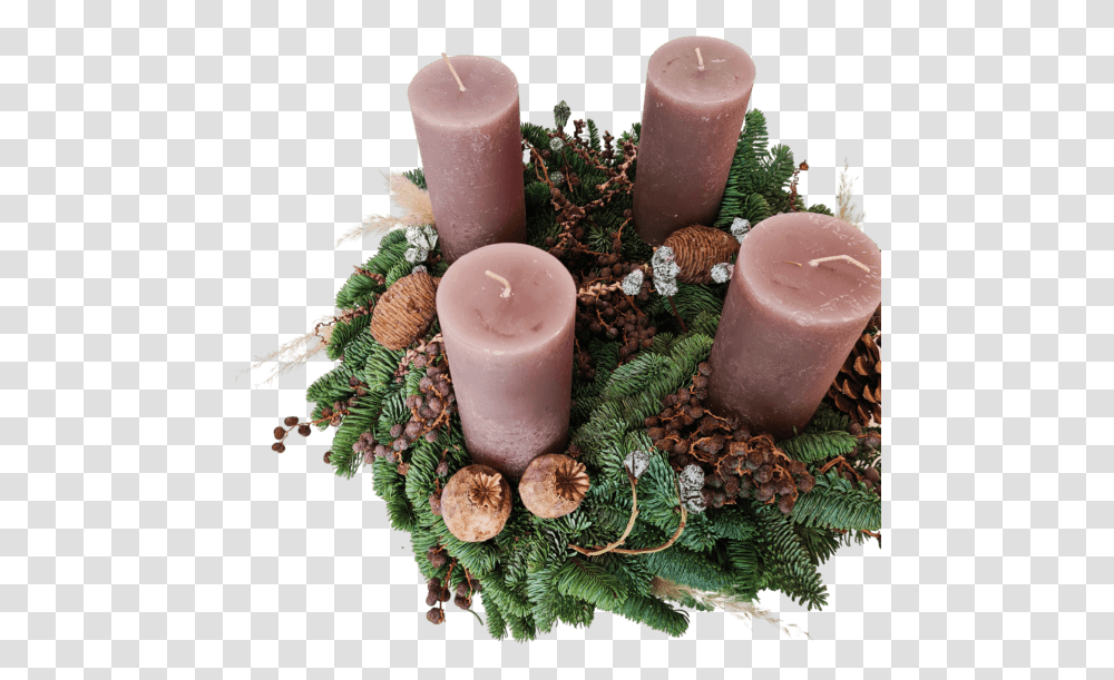 Advent Wreath No14 Dolls Flowers Advent, Candle, Plant, Cylinder, Moss Transparent Png