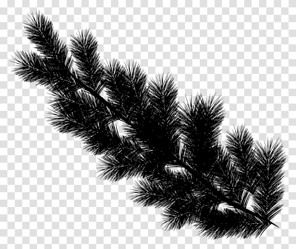 Advent Wreath Pine Tree Leaves, Gray, World Of Warcraft Transparent Png