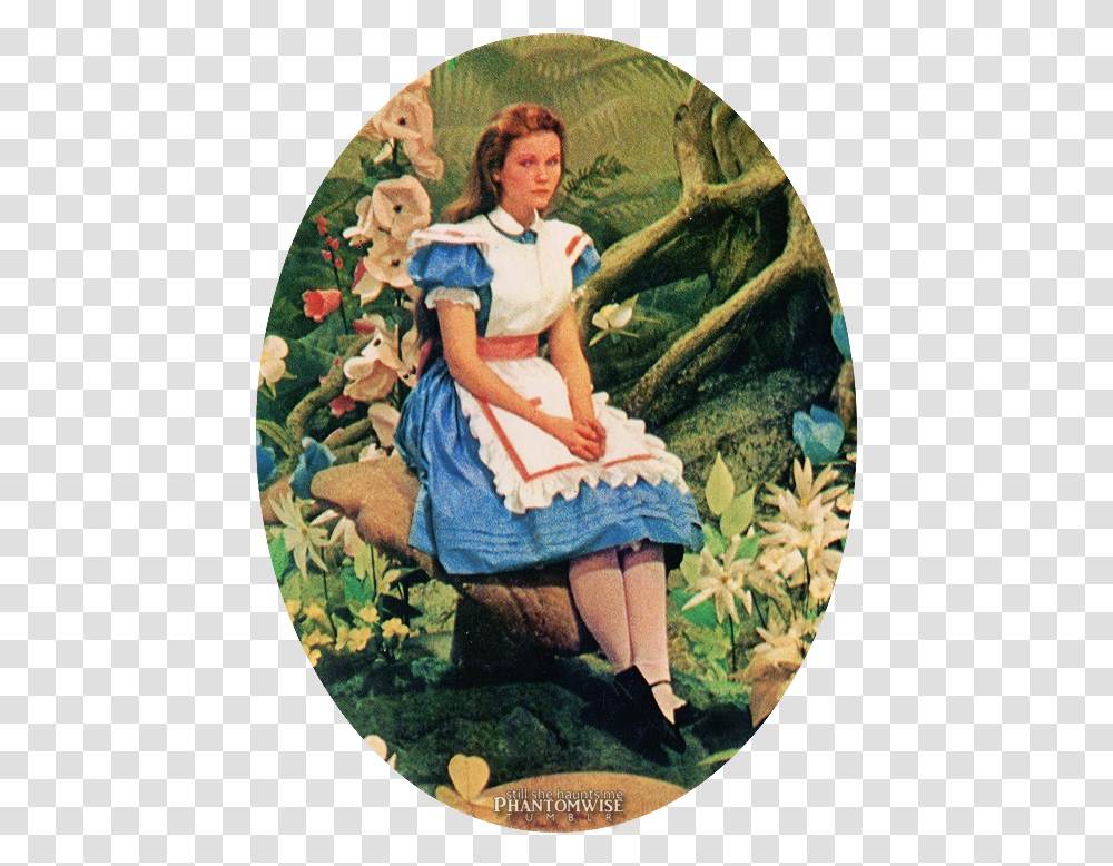 Adventure In Wonderland 1972 Vhs, Person, Human, Painting Transparent Png