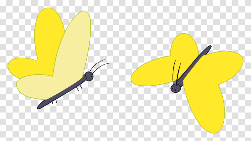 Adventure Time With Finn And Jake Wiki Cartoon Butterfly Adventure Time, Animal, Invertebrate, Insect, Vehicle Transparent Png
