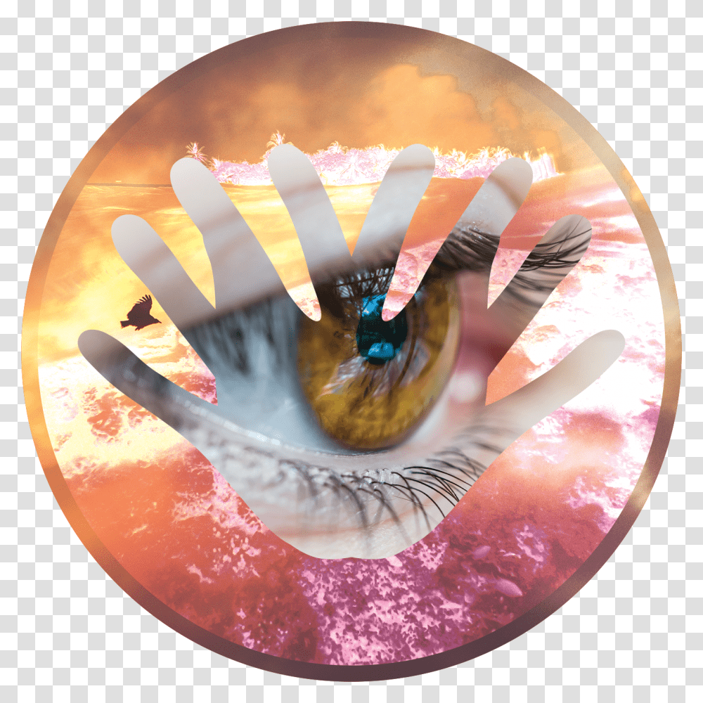 Advertisement, Poster, Collage, Icing Transparent Png
