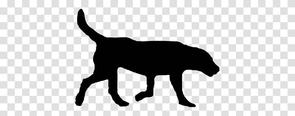 Advisory Board Zero Stray Pawject Preventing Caring, Silhouette, Stencil, Animal, Mammal Transparent Png