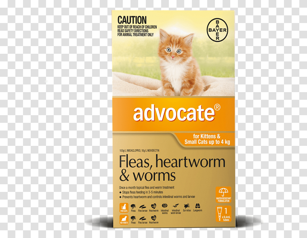 Advocate Cat Flea Treatment, Poster, Advertisement, Flyer, Paper Transparent Png
