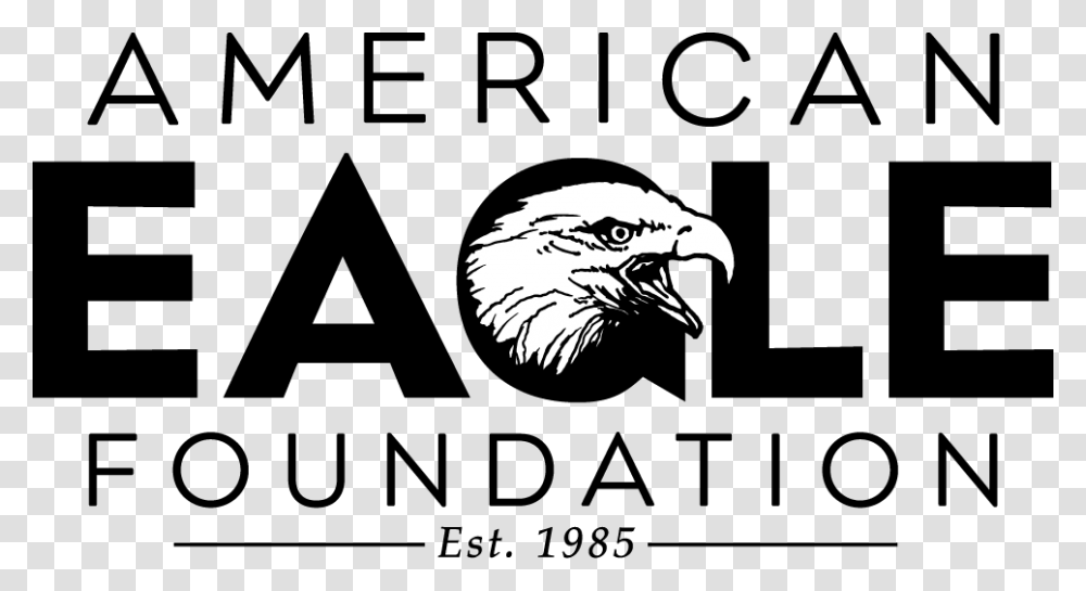 Aef Logo, Eagle, Bird, Animal, Bald Eagle Transparent Png