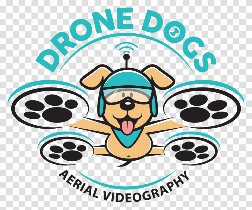 Aerial Photography Florida Keys Drone Dogs Media Aerial, Poster, Animal, Mammal Transparent Png