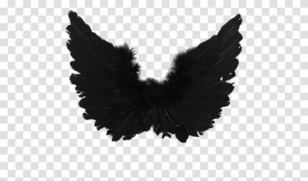 Aesthetic Angel And Angel Wings Image, Bird, Animal, Blackbird, Eagle Transparent Png