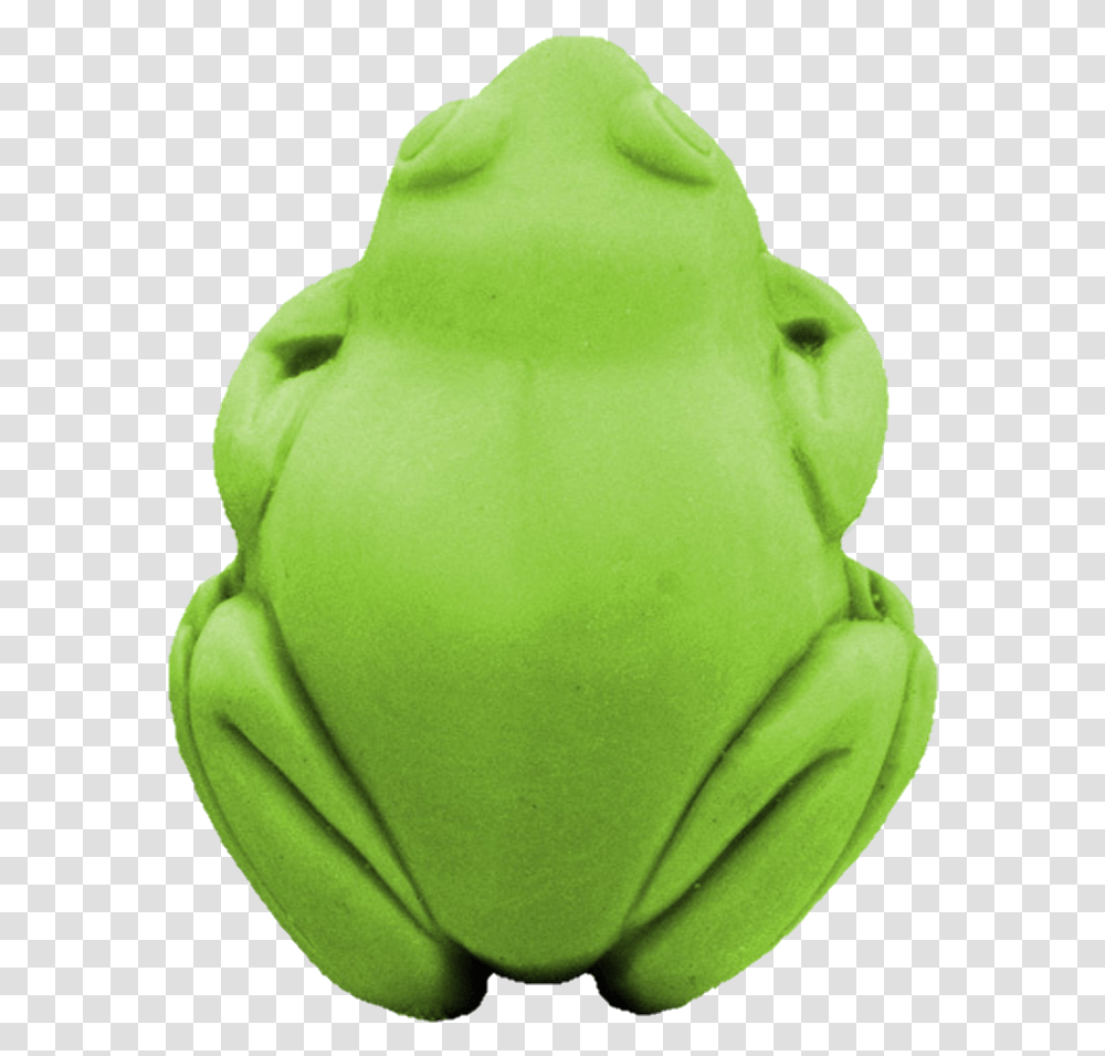 Aesthetic, Animal, Amphibian, Wildlife, Pottery Transparent Png