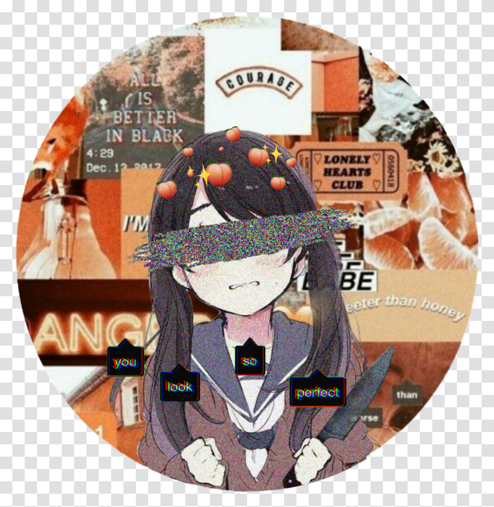Aesthetic Anime Girl Pfp Tumblr Largest Wallpaper Portal Art Transparent Png