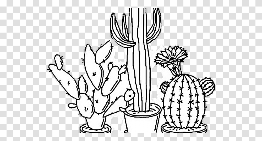 Aesthetic Black And White Black And White Cactus Drawing, Plant Transparent Png