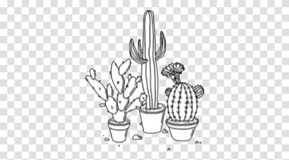 Aesthetic Black And White Outline, Plant, Cactus, Person, Human Transparent Png