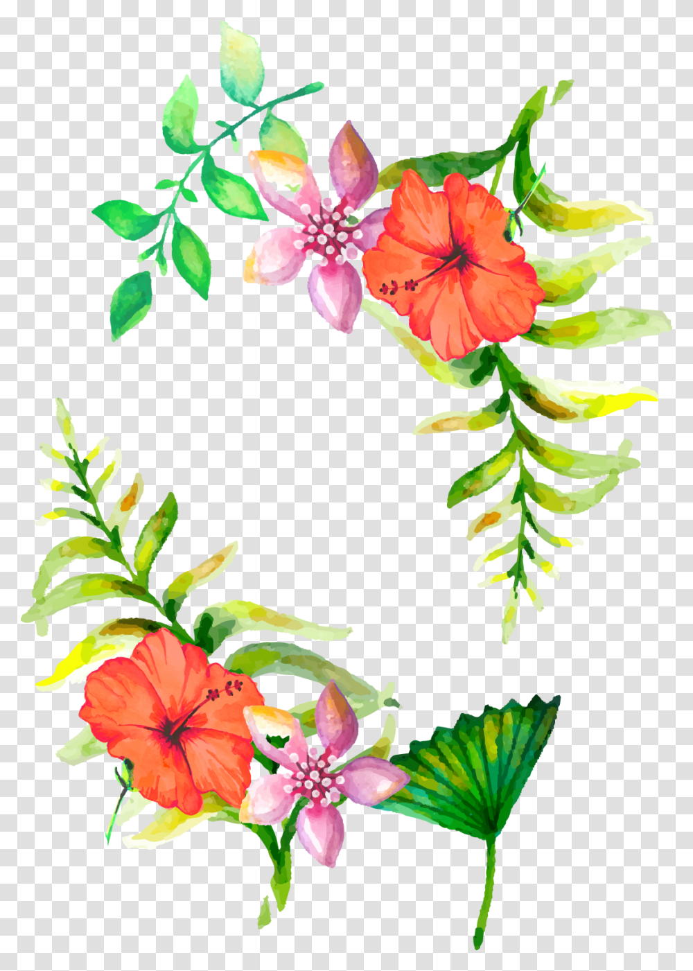 Aesthetic Clipart Flower Background Floral Border, Plant, Blossom, Hibiscus Transparent Png