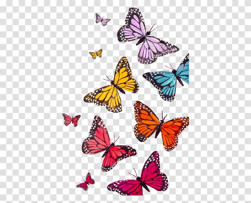 Aesthetic Colorful Butterfly, Monarch, Insect, Invertebrate, Animal Transparent Png