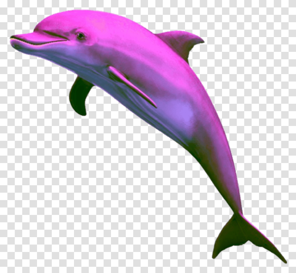 Aesthetic Dolphin Clipart Pink Vaporwave Dolphin, Bird, Animal, Sea Life, Mammal Transparent Png