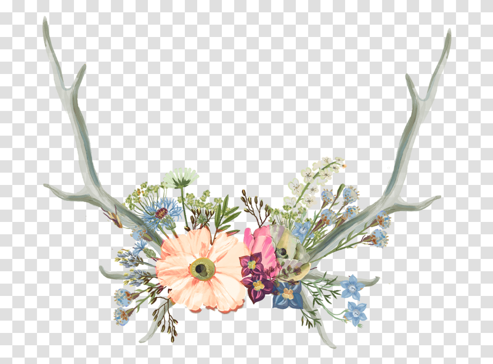 Aesthetic Flower Crown Flower Crown With Antlers, Plant, Blossom, Flower Bouquet, Flower Arrangement Transparent Png