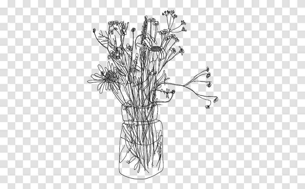 Aesthetic Flower Drawing, Plant, Chandelier Transparent Png